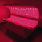 O infravermelho do corpo inteiro conduziu a cama clara vermelha 660nm 850nm da terapia