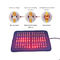 Almofada infravermelha terapêutica do multi dispositivo da terapia da luz das cores PDT